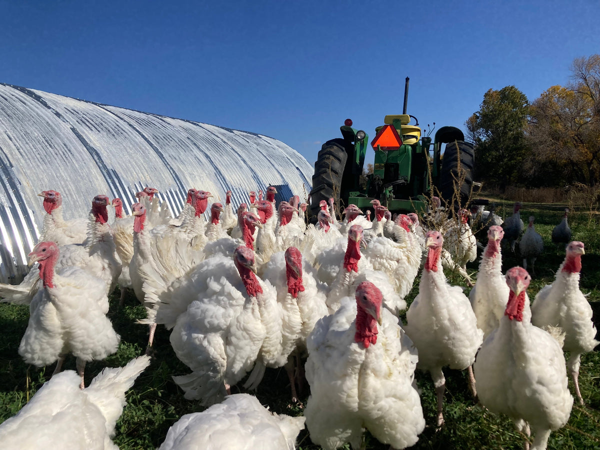 LIMITED: Pasture Raised Turkey